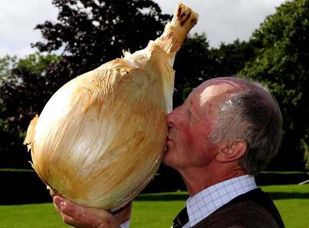 Peter Glazebrook from Newark holds the record for the heaviest onion at 18lbs 1oz.