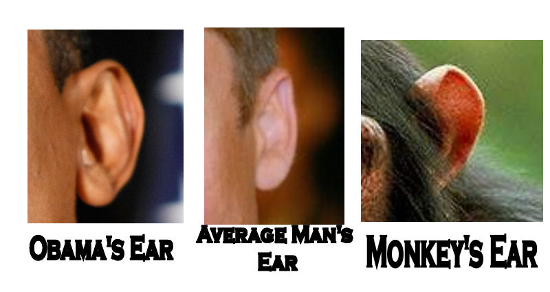 This is a comparison of Obama's ear with the average man's ear and a monkey's ear.