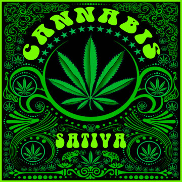 NEW CANNABIS SATIVA T-shirt. Posters available soon... PEACE !