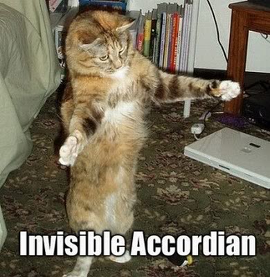 Avi's Cats of Invisibility