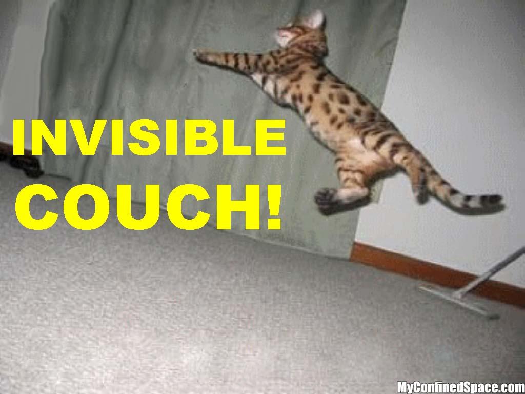 Avi's Cats of Invisibility 2