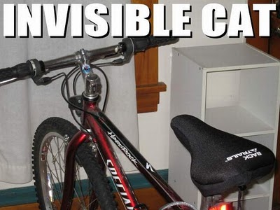 Avi's Cats of Invisibility 2
