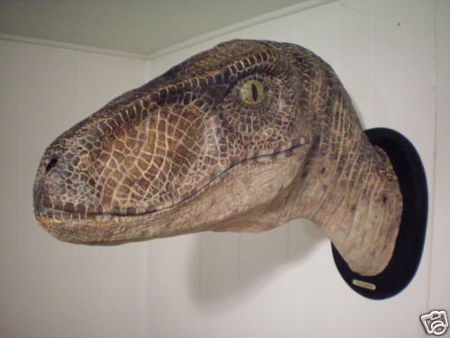 Up for auction is a full size replica of the Velociraptor from Jurassic Park. It measures 28 inches from the nose to base of the mount. It is made of high quality poly urethane resin that has been painted and sealed. The dinosaur is mounted to a wooden base that can be mounted to a wall like a trophy animal.

