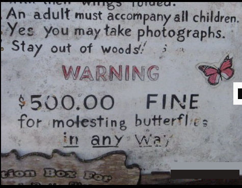 At the same time, butterflies shouldn't get into cars with strangers.
