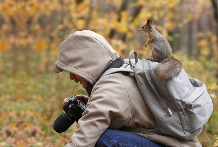 Nature photographer's subjects don't always behave....