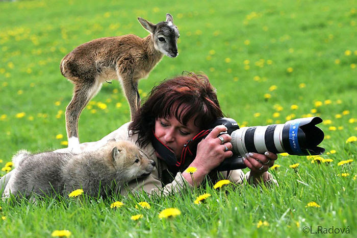 Nature photographer's subjects don't always behave....
