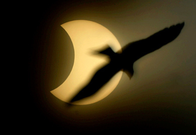 Longest Solar Eclipse of the Millenium