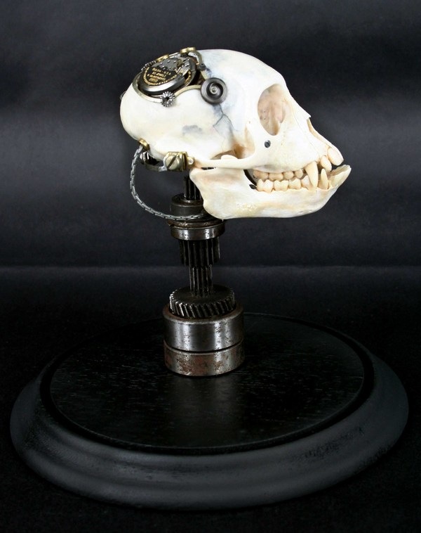 Extreme Steampunk Beyond the Grave Terminal Techno Taxidermy