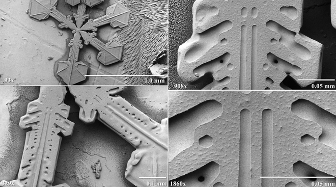 Snowflakes Under an Electron Microscope