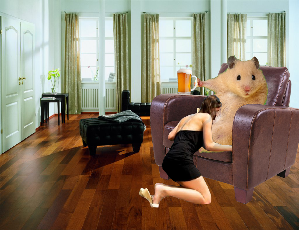wtf photoshop hamster