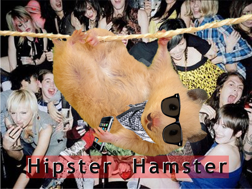 jason nocito - Hipsters Hamster