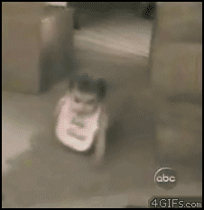 cats attacking babies gif - abc 4GIFS.com