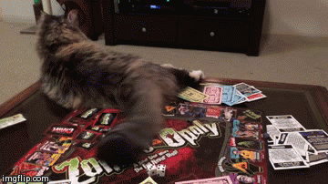board game cat gif - imgflip.com