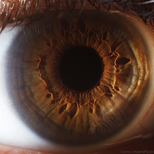 Human Eye