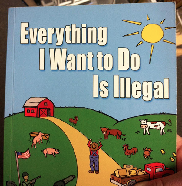 funny book titles - Everything I Want to Do Is Illegal