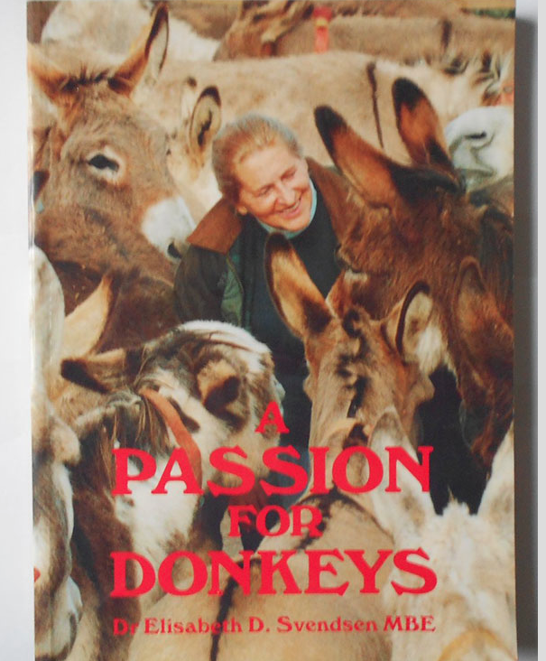 passion for donkeys