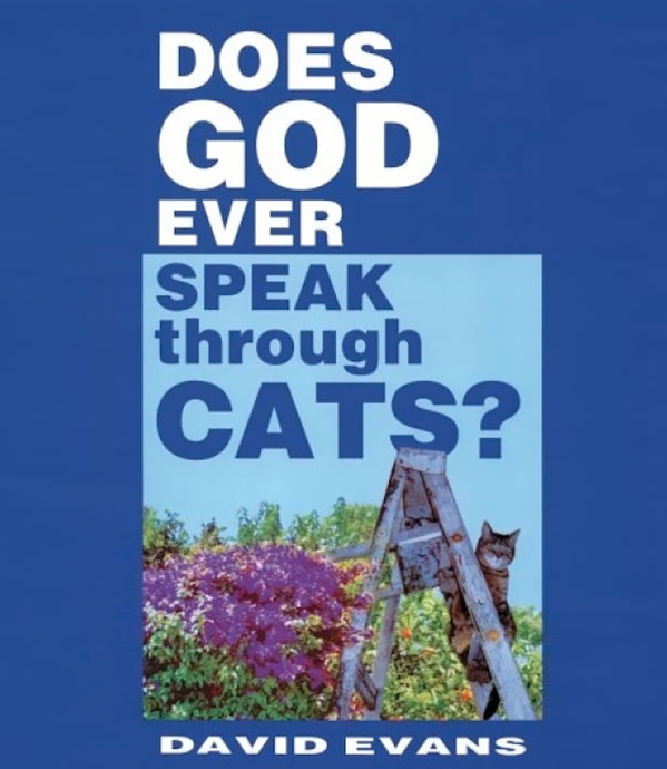funny book title - Does God Ever Speak through Cats? David Evans