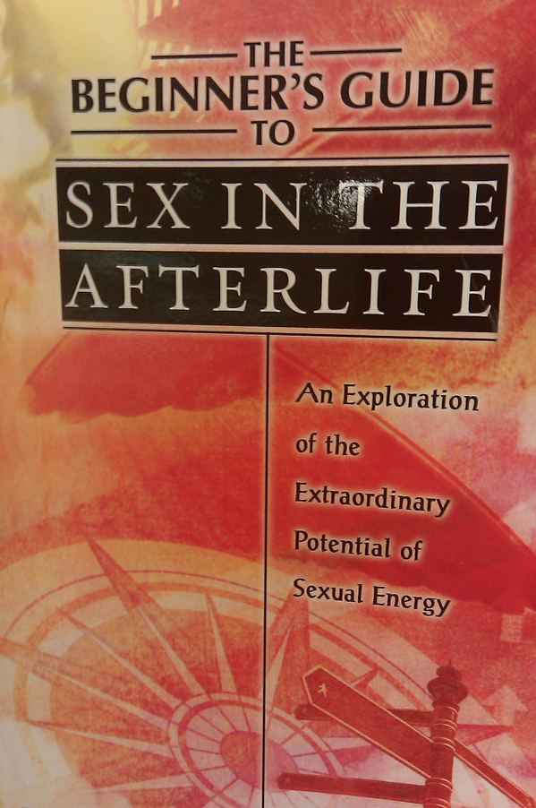 worst book titles - The Beginner'S Guide To Sex In The Afterlife An Exploration of the Extraordinary Potential of Sexual Energy