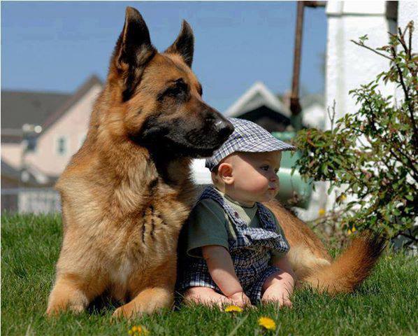24 Pictures That Prove That Every Baby Should Grow Up With A Pet