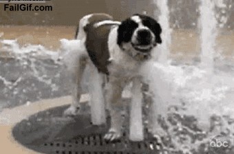 need to cool off - Fail Gif.com Qoc