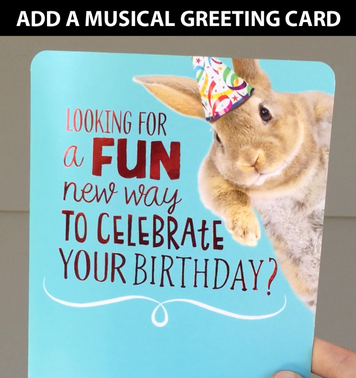 obvious plant birthday - Add A Musical Greeting Card Looking For a Fun new way To Celebrate Your Birthday?