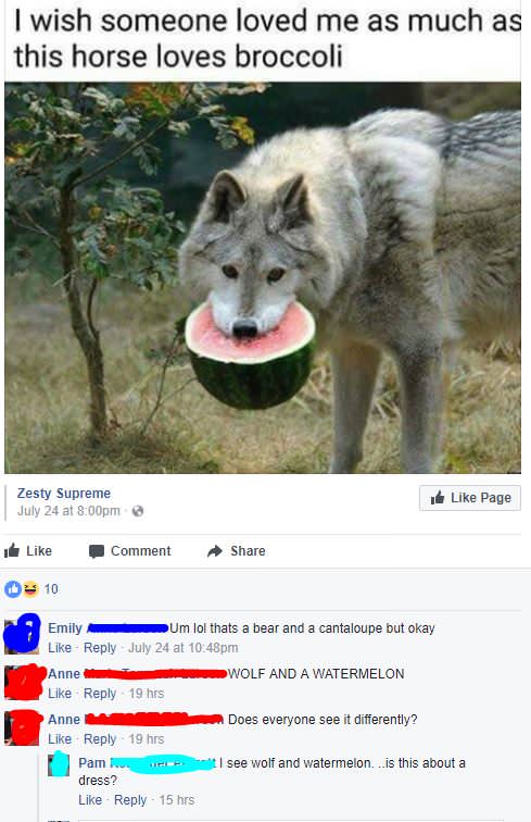 horse loves broccoli - I wish someone loved me as much as this horse loves broccoli Zesty Supreme July 24 at pm e Page Comment D3 10 Emily Um lol thats a bear and a cantaloupe but okay July 24 at pm Anne Wolf And A Watermelon 19 hrs Anne Does everyone see