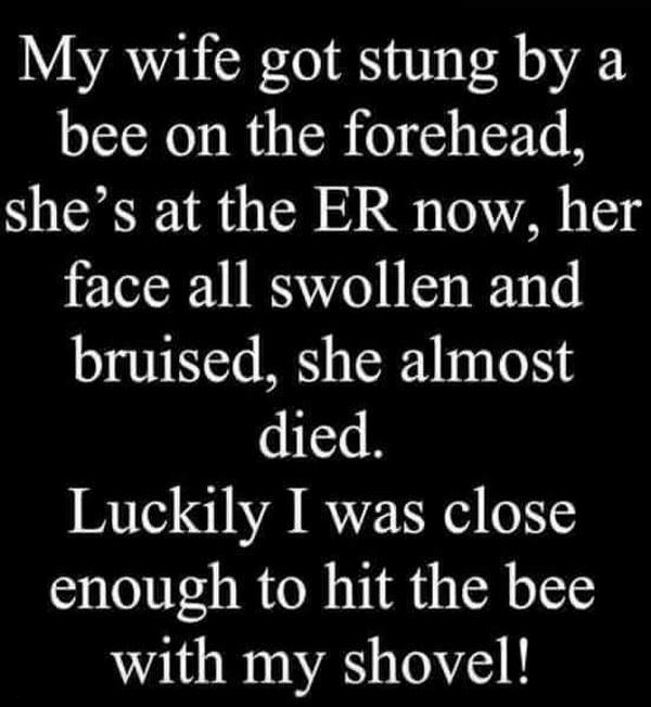 memes - My wife got stung by a bee on the forehead, she's at the Er now, her face all swollen and bruised, she almost died Luckily I was close enough to hit the bee with my shovel!