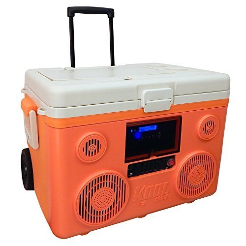 bluetooth speaker cooler