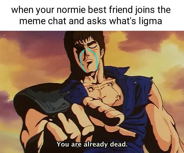 omae wa mou shindeiru - when your normie best friend joins the meme chat and asks what's ligma You are already dead.