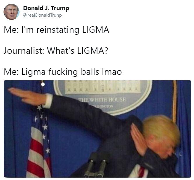 what's ligma - Donald J. Trump Me I'm reinstating Ligma Journalist What's Ligma? Me Ligma fucking balls Imao The White House
