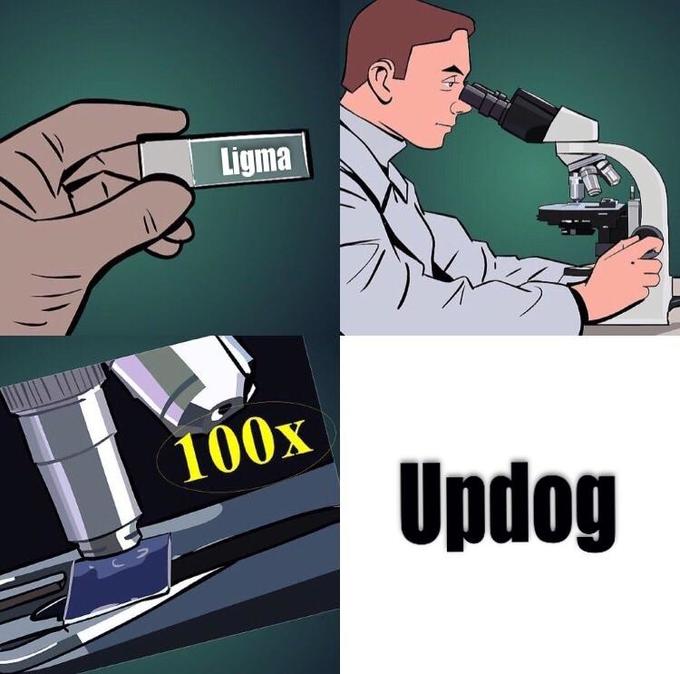microscope meme template - Ligma 100% Updog