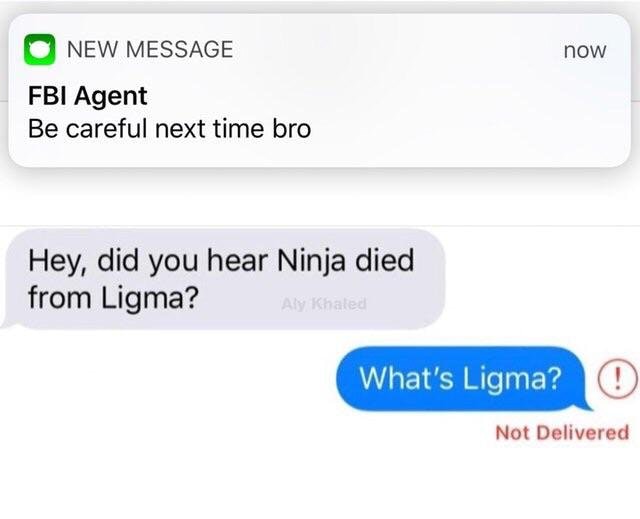ligma memes - New Message now Fbi Agent Be careful next time bro Hey, did you hear Ninja died from Ligma? Aly Khale What's Ligma? Not Delivered
