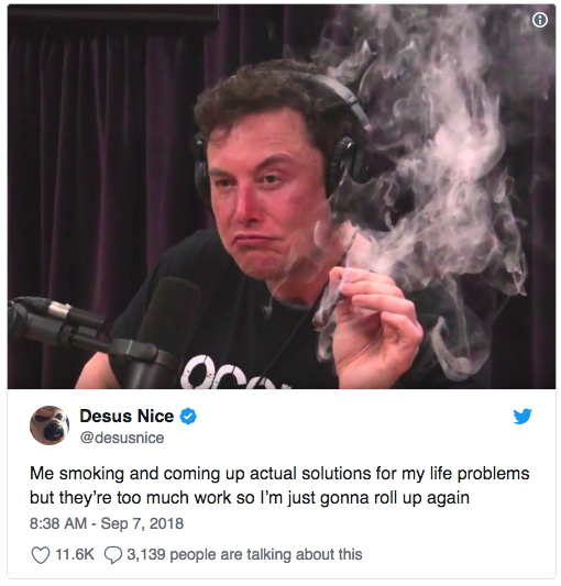 elon musk memes weed - Desus Nice Me smoking and coming up actual solutions for my life problems but they're too much work so I'm just gonna roll up again 3,