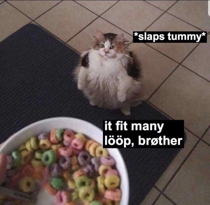 loops brother meme - slaps tummy it fit many lp, brther