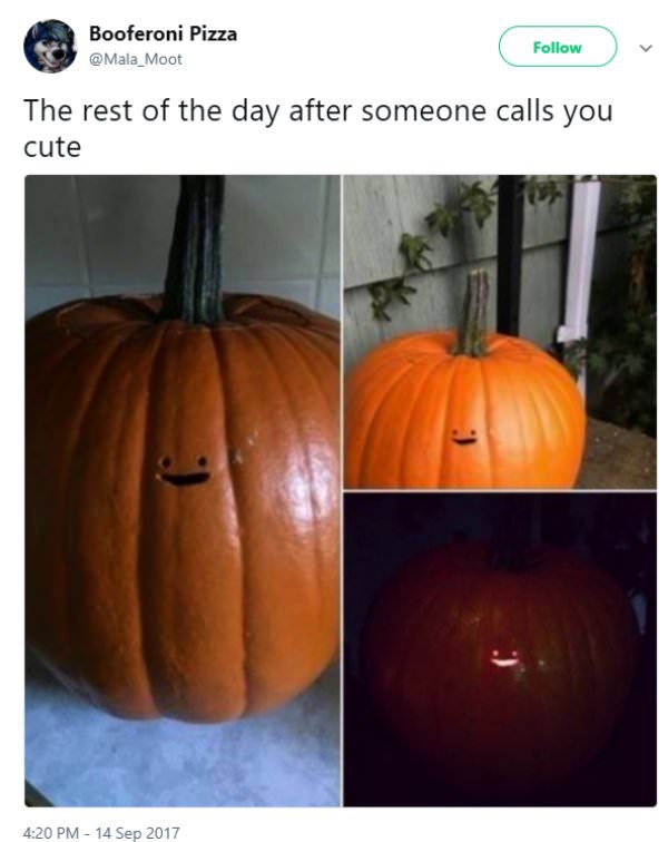 27 Hilarious Halloween Memes and Tweets