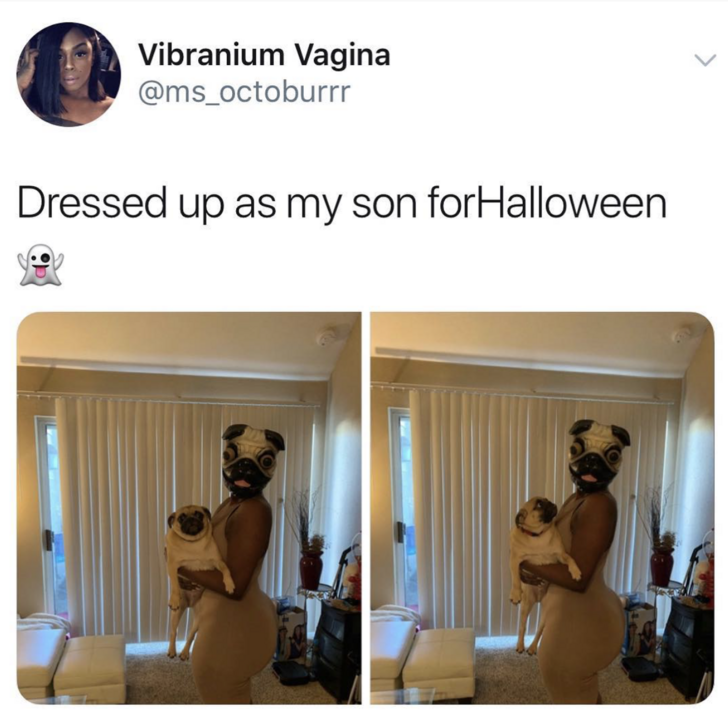 27 Hilarious Halloween Memes and Tweets