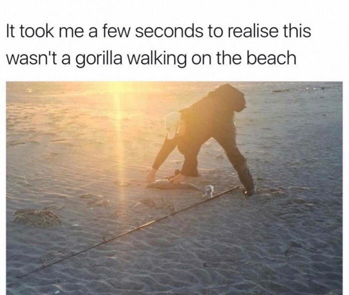 dank meme - beach memes funny - It took me a few seconds to realise this wasn't a gorilla walking on the beach