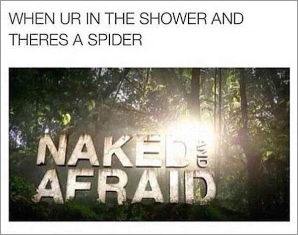 dank meme - nature - When Ur In The Shower And Theres A Spider Nake Afraid