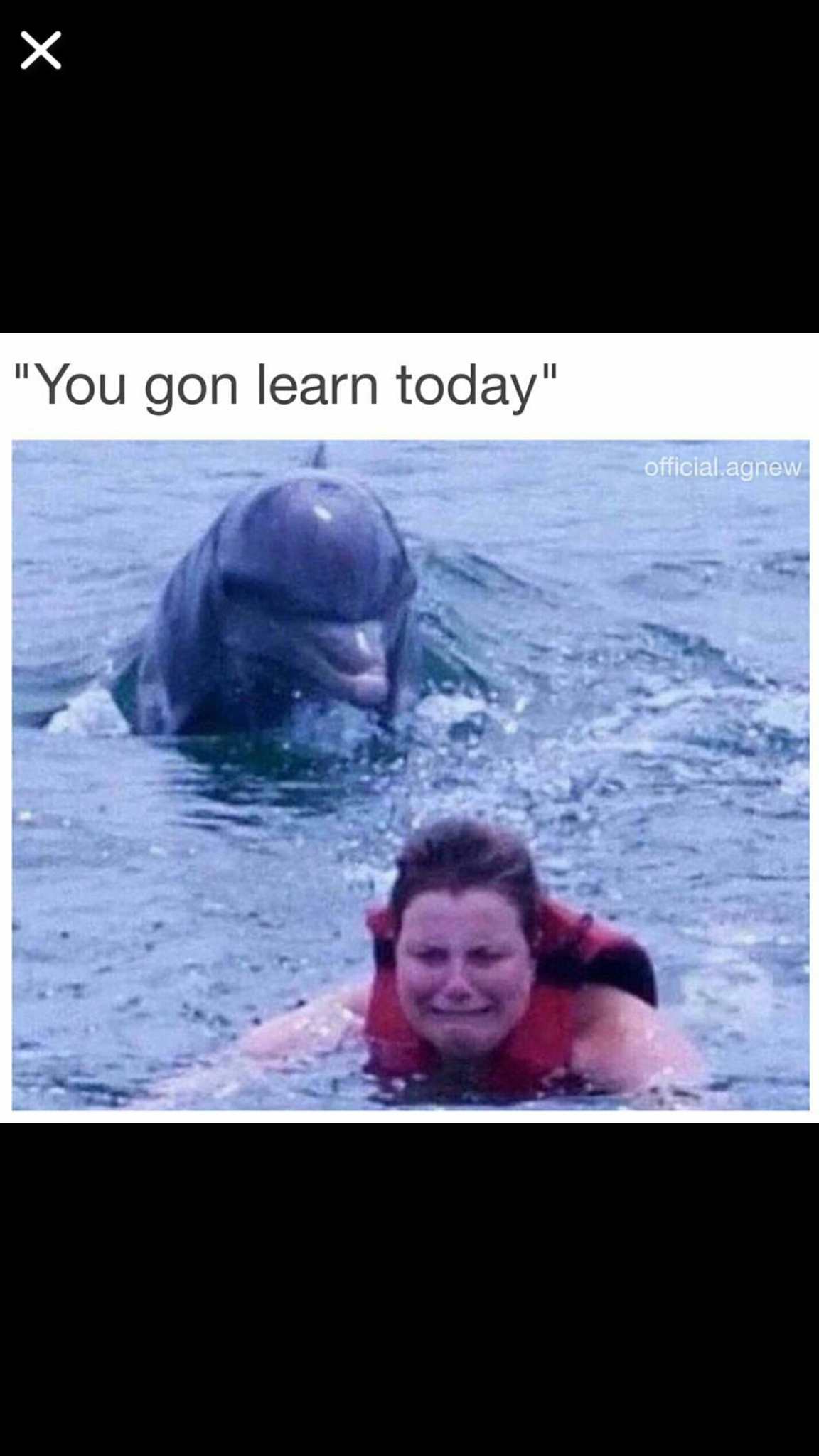 dank meme - swimming meme - "You gon learn today" official.agnew