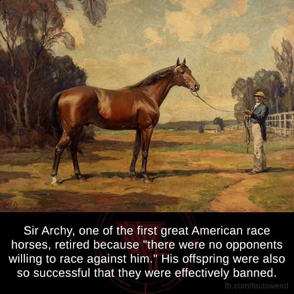 weird facts - Sir Archy, one of the first great American race horses, retired because "there were no opponents willing to race against him." His offspring were also so successful that they were effectively banned. fb.comfactsweird