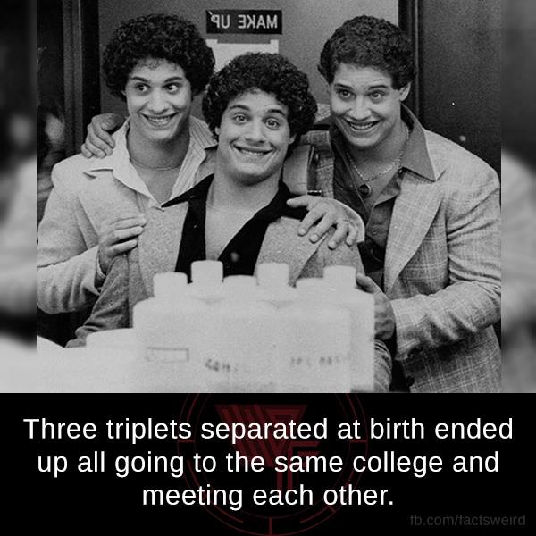 three identical strangers - Tu 3NAM Three triplets separated at birth ended up all going to the same college and meeting each other. fb.comfactsweird