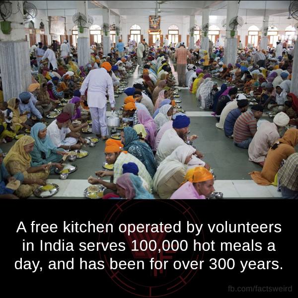 Harmandir Sahib - A free kitchen operated by volunteers in India serves 100,000 hot meals a day, and has been for over 300 years. fb.comfactsweird