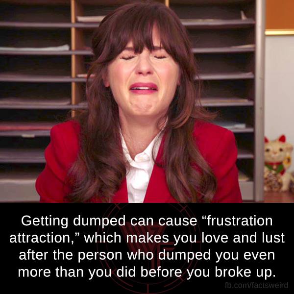 Breakup - Getting dumped can cause "frustration attraction," which makes you love and lust after the person who dumped you even more than you did before you broke up. fb.comfactsweird
