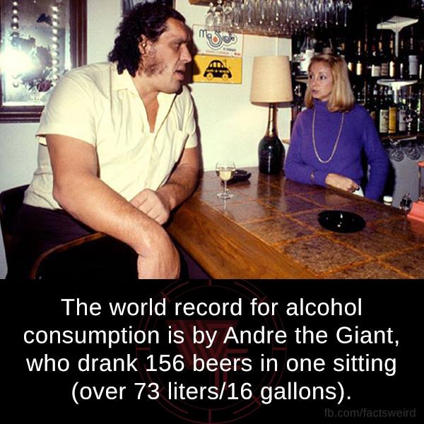 andre the giant facts - Maio Mon Tecil The world record for alcohol consumption is by Andre the Giant, who drank 156 beers in one sitting over 73 liters16 gallons. fb.comfactsweird