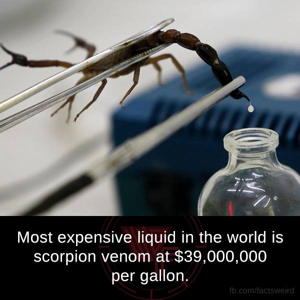 get scorpion venom - Most expensive liquid in the world is scorpion venom at $39,000,000 per gallon. fb.comfactsweird