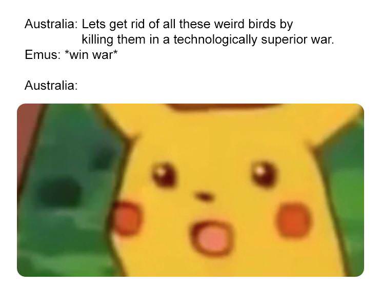 Australia Lets get rid of all these weird birds by killing them in a technologically superior war. Emus win war Australia