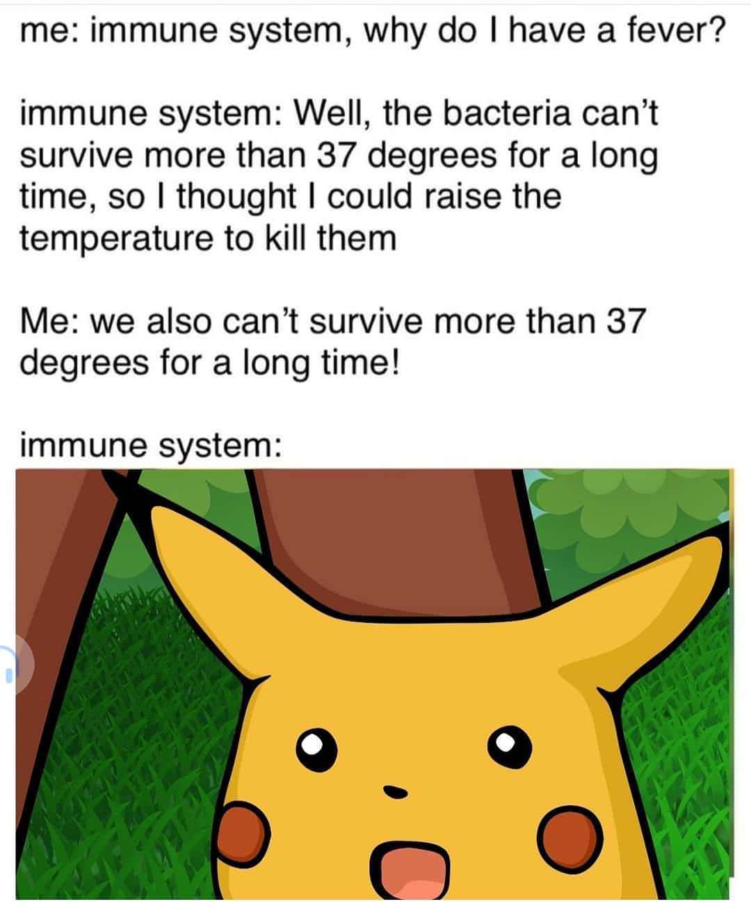 immune system meme - me immune system, why do I have a fever? immune system Well, the bacteria can't survive more than 37 degrees for a long time, so I thought I could raise the temperature to kill them Me we also can't survive more than 37 degrees for a 