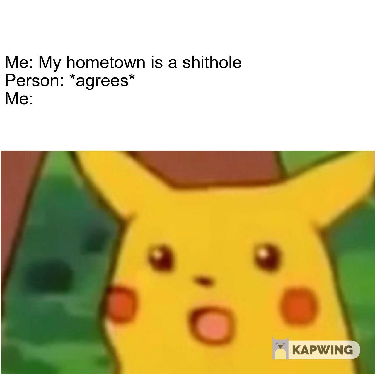 mem pikachu - Me My hometown is a shithole Person agrees Me Kapwing