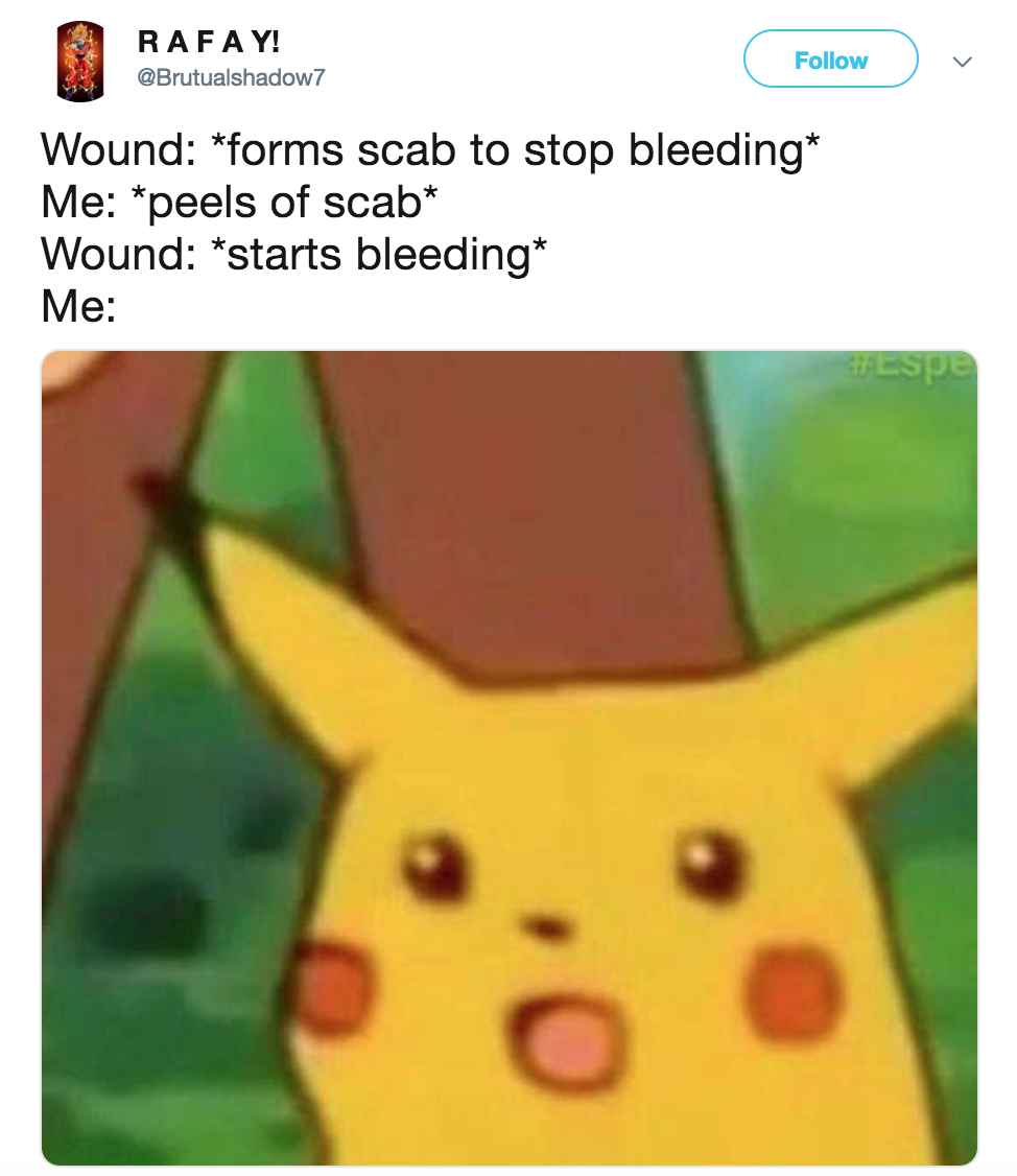 surprised pikachu meme - Rafay! Brutualshadow 7 Wound forms scab to stop bleeding Me peels of scab Wound starts bleeding Me