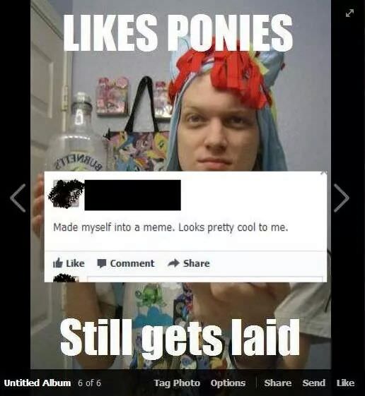 brony cringe memes - Ponies Aus Made myself into a meme. Looks pretty cool to me. Comment Still gets laid Untitled Album 6 of 6 Tag Photo Options Send